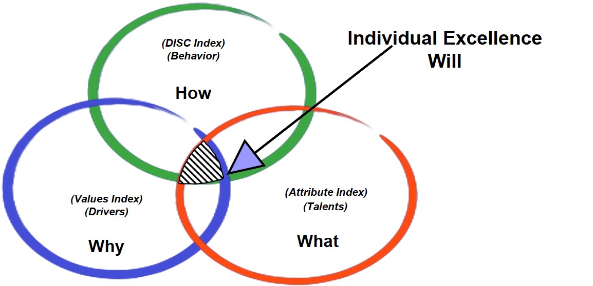 Genius Training Programs